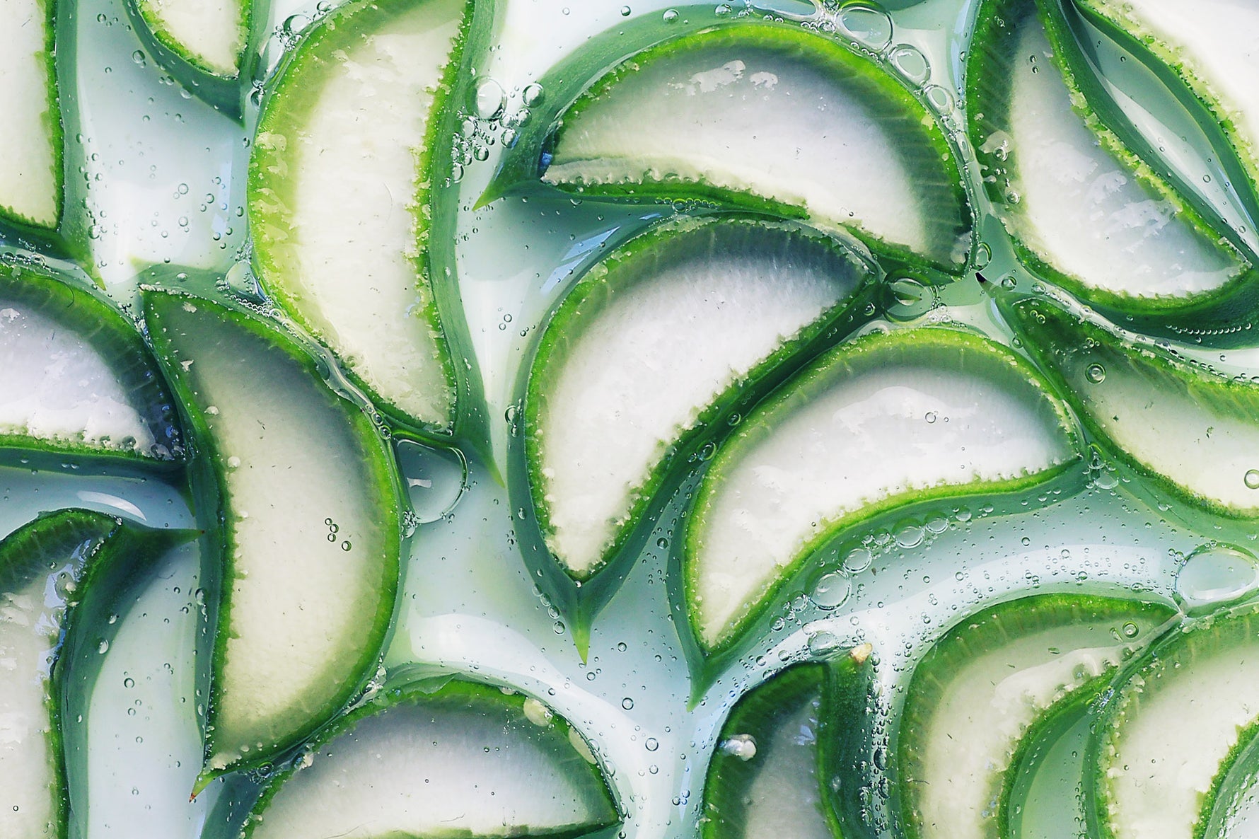 Aloe Vera Blätter mit frischem Gel für feuchtigkeitsspendende Hautpflege