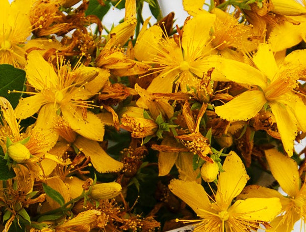 Johanniskraut Blüten als beruhigender Wirkstoff für regenerierende Hautpflege