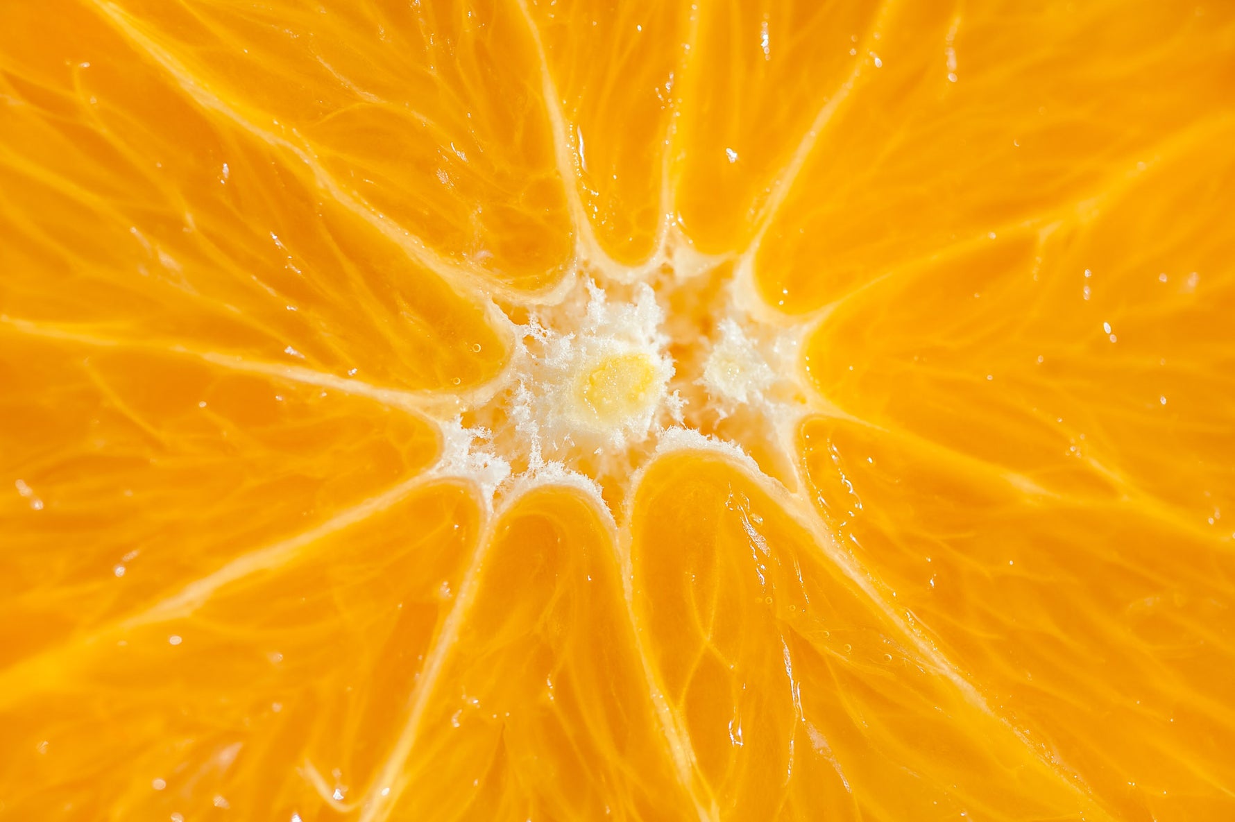 Orange als erfrischender Wirkstoff für vitalisierte Haut und ein belebendes Pflegegefühl
